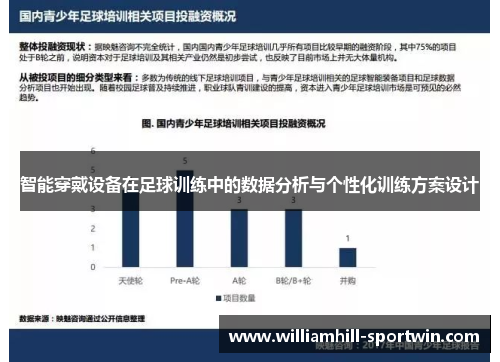智能穿戴设备在足球训练中的数据分析与个性化训练方案设计